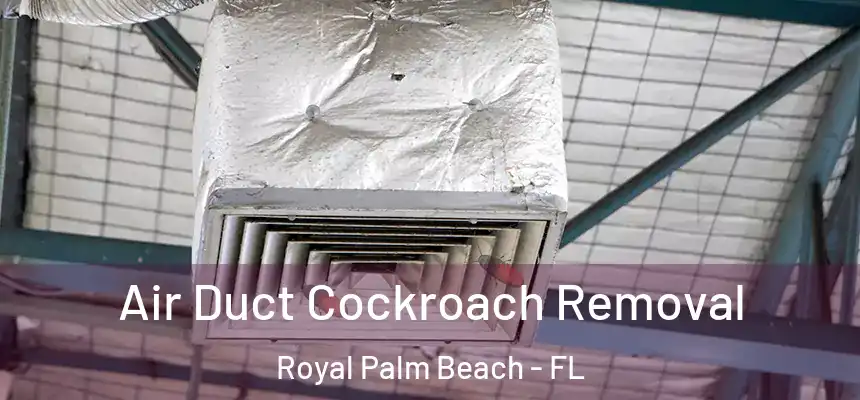 Air Duct Cockroach Removal Royal Palm Beach - FL