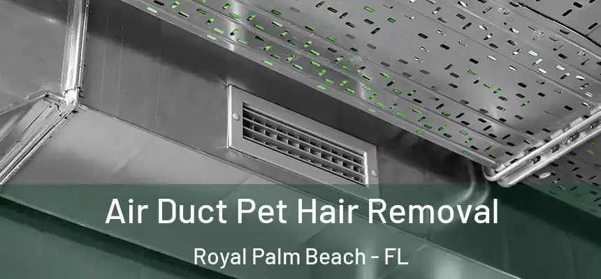 Air Duct Pet Hair Removal Royal Palm Beach - FL