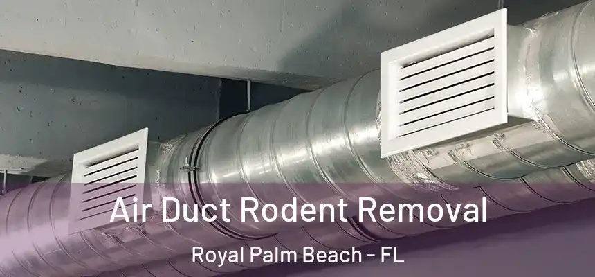 Air Duct Rodent Removal Royal Palm Beach - FL