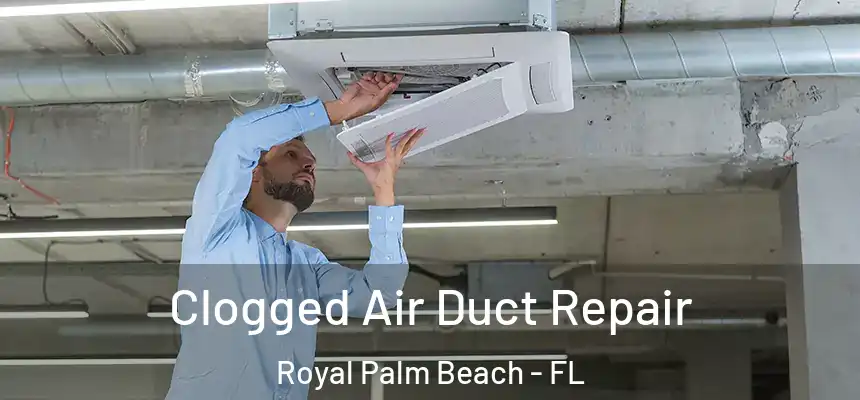 Clogged Air Duct Repair Royal Palm Beach - FL