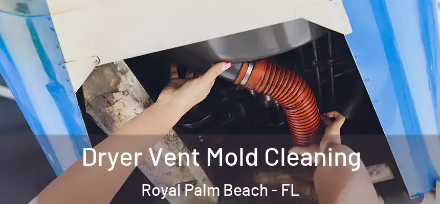 Dryer Vent Mold Cleaning Royal Palm Beach - FL