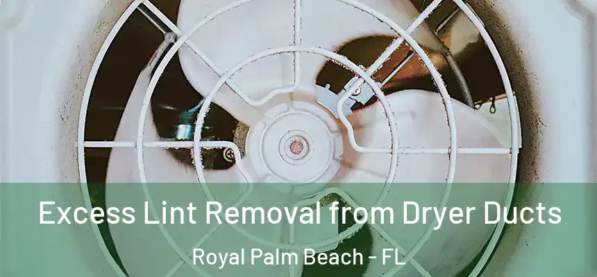 Excess Lint Removal from Dryer Ducts Royal Palm Beach - FL