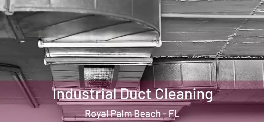 Industrial Duct Cleaning Royal Palm Beach - FL