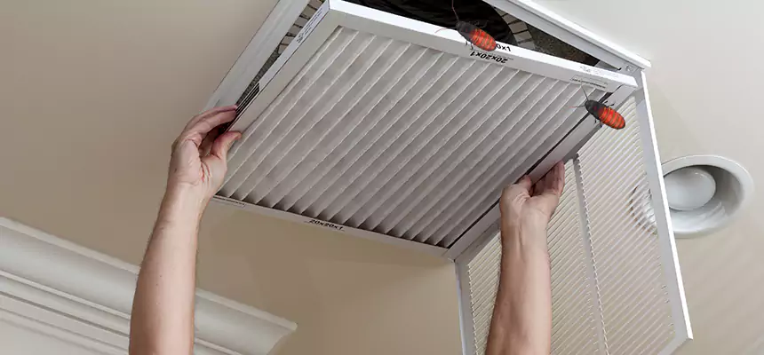 Preventive Cockroach-Proofing for Ducts in Royal Palm Beach