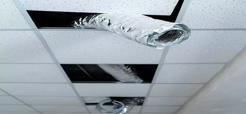 Our Air Duct Pet Hair Removal Services in Royal Palm Beach, FL