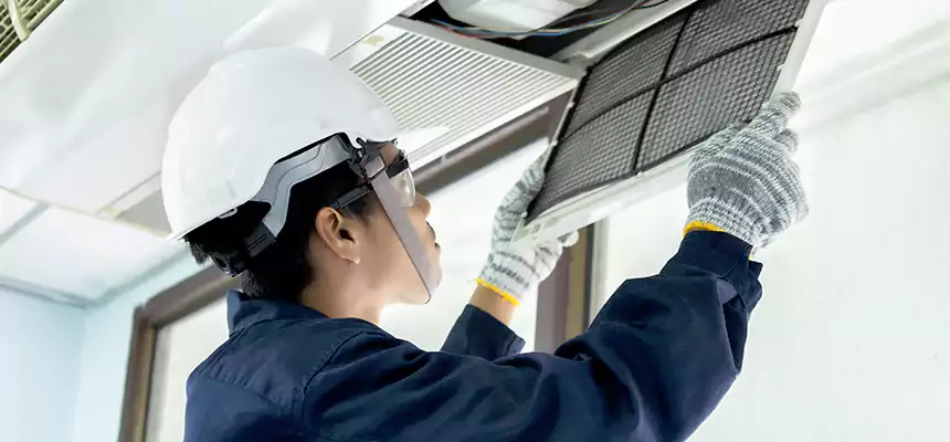 Our Mold & Mildew Removal from Air Ducts Services in Royal Palm Beach, FL