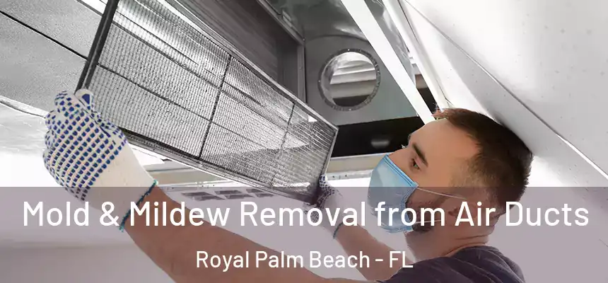 Mold & Mildew Removal from Air Ducts Royal Palm Beach - FL