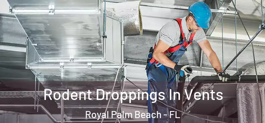 Rodent Droppings In Vents Royal Palm Beach - FL