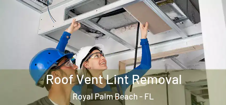 Roof Vent Lint Removal Royal Palm Beach - FL