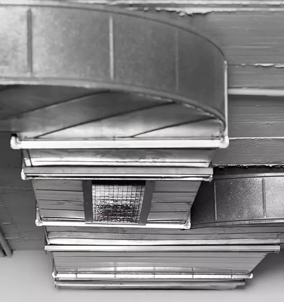 Professional Air Duct Pest Removal in Royal Palm Beach, FL