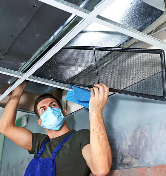 Professional Air Duct Pollen Cleaning in Royal Palm Beach, FL
