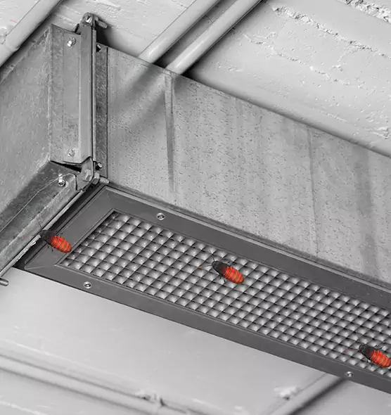 Affordable Insect Removal from Air Ducts in Royal Palm Beach, FL