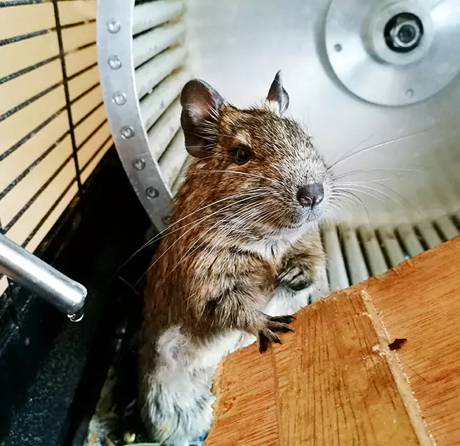 Why Homeowners & Businesses Trust Us Royal Palm Beach, FL