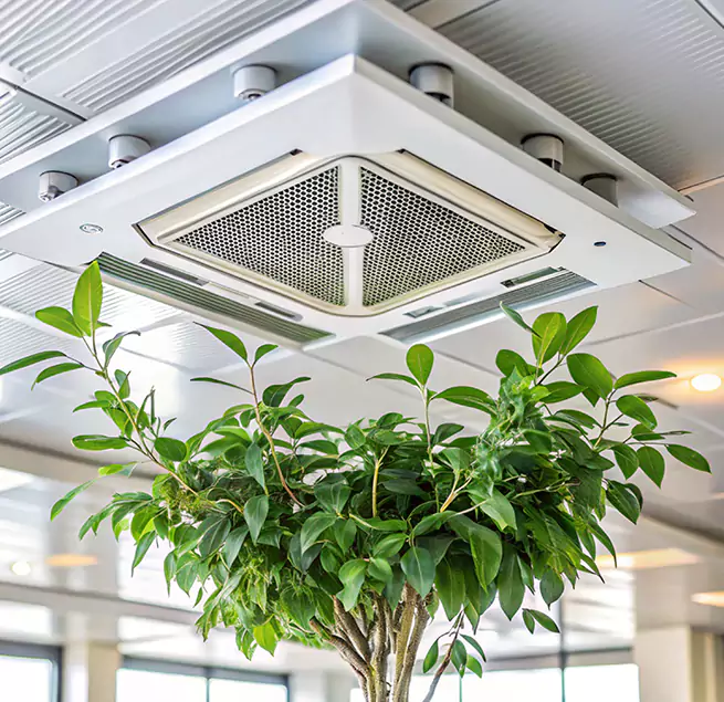 Why Homeowners & Businesses Trust Us in Royal Palm Beach, FL?