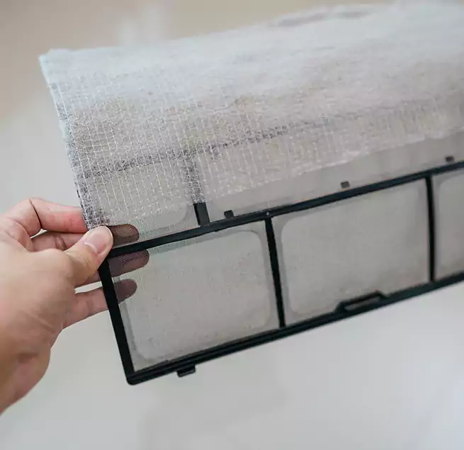 Why Homeowners & Businesses Trust Us in Royal Palm Beach, FL?