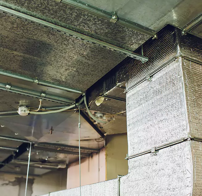 Why Homeowners & Businesses Trust Us in Royal Palm Beach, FL?