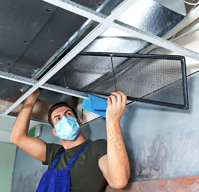 Why Homeowners Businesses Trust Us in Royal Palm Beach, FL?